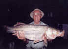 Snook1.jpg (45646 bytes)